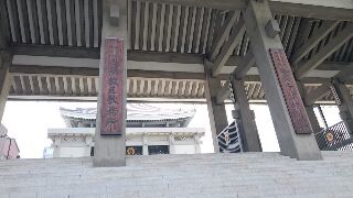 私の能力を超える、、やるべき仕事量_f0256164_11283932.jpg