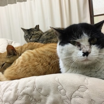 成功していく人たちと_f0325471_12424810.jpg