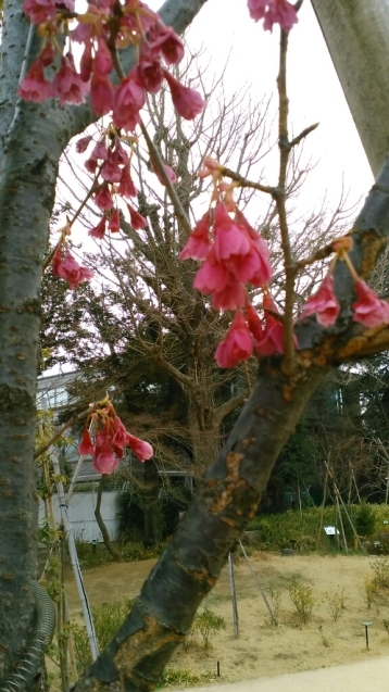 c0162773_00575864.jpg