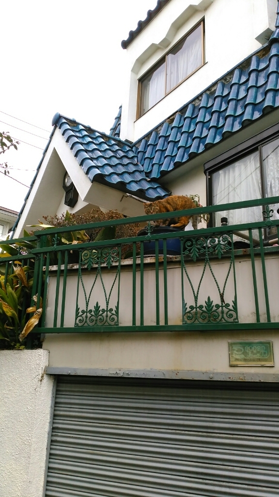 c0162773_00581142.jpg