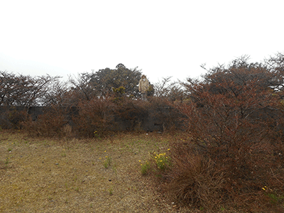 c0152274_2148534.gif
