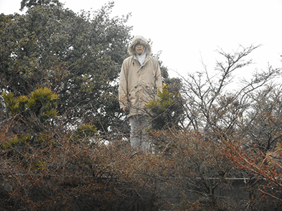 c0152274_2149285.gif