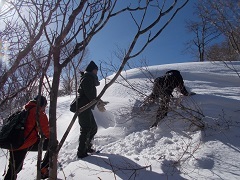 c0146483_16112782.jpg