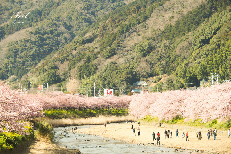 桜のある風景_d0336785_15285067.jpg