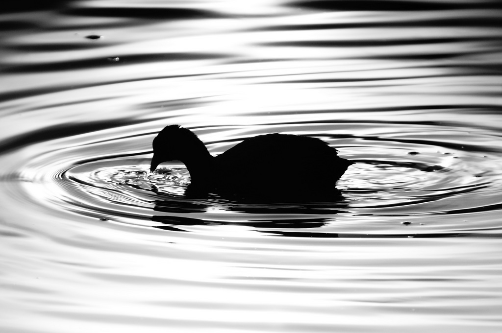 ときどき春を感じる近頃のベルリン、湖畔のカフェテラスにて。_c0180686_18501892.jpg