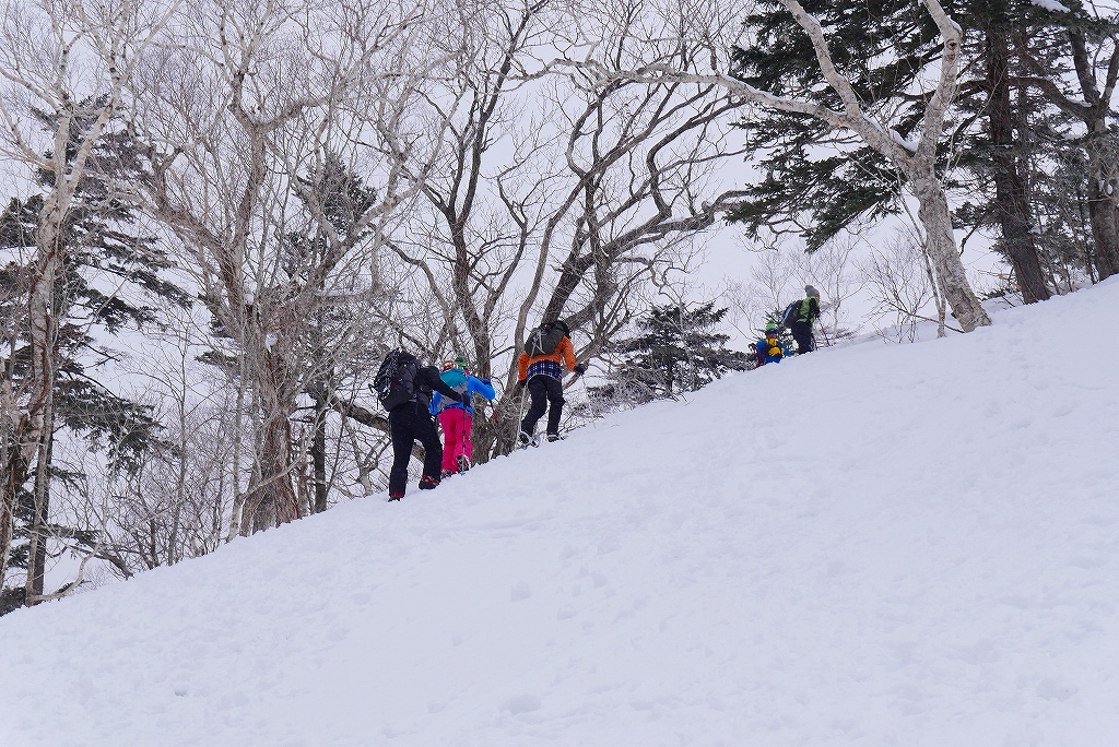 オコタンペ山、2017.3.14_f0138096_08525139.jpg