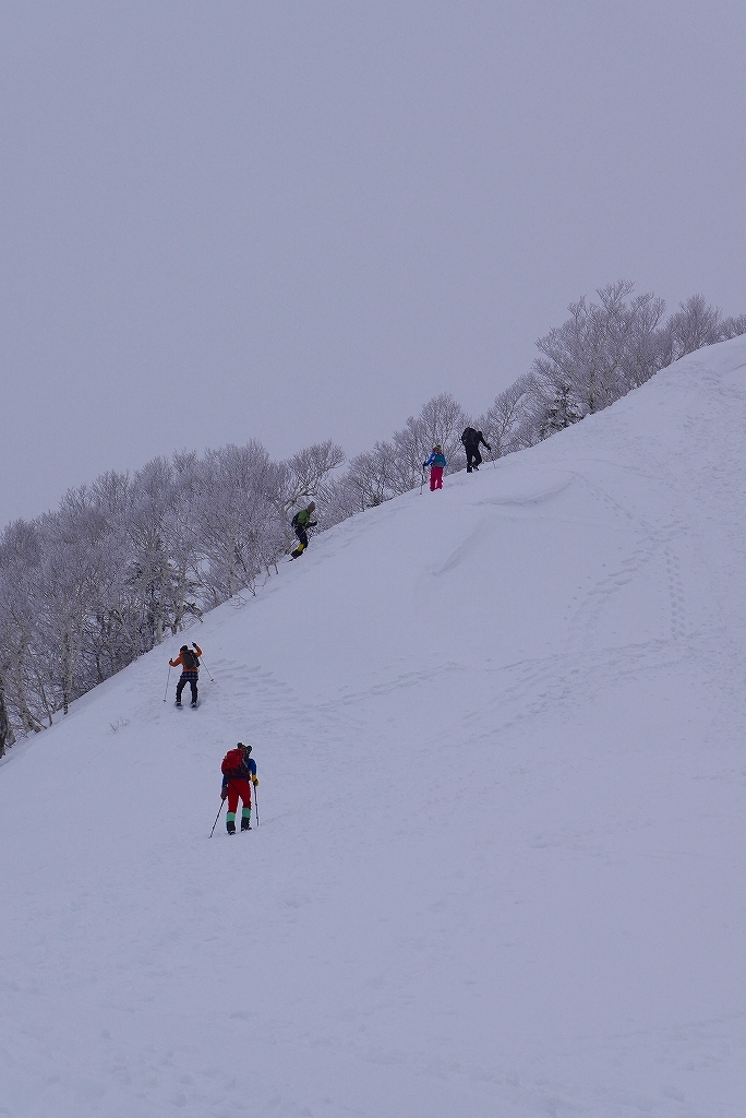オコタンペ山、2017.3.14_f0138096_08541890.jpg