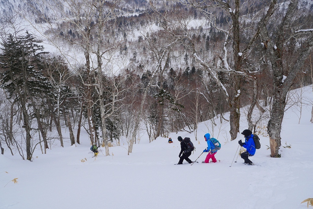 オコタンペ山、2017.3.14_f0138096_08545061.jpg