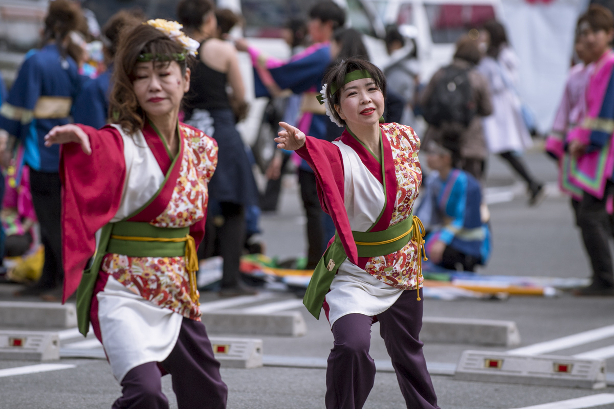 2017　浜松がんこ祭り_f0184198_16211041.jpg