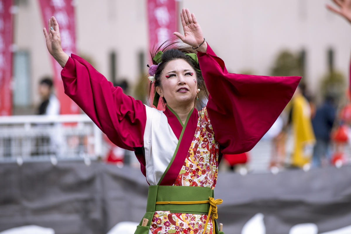 2017　浜松がんこ祭り_f0184198_16215837.jpg