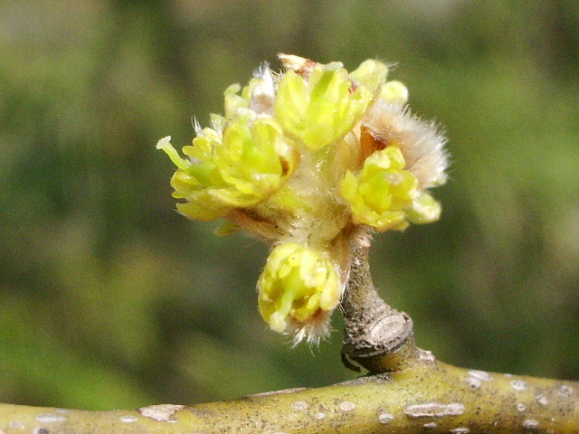 e0025300_1695234.jpg