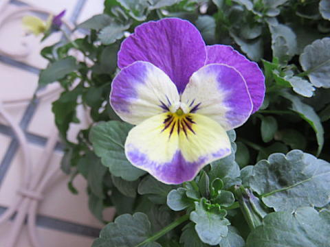 d0046702_06401670.jpg