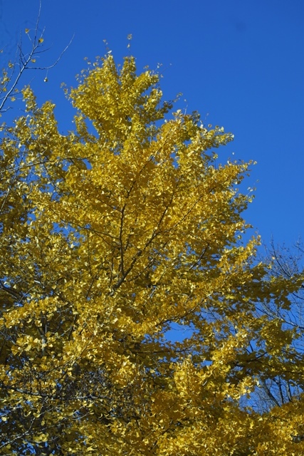 c0062603_01310425.jpg