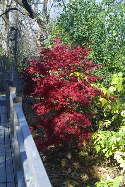 c0062603_01311863.jpg