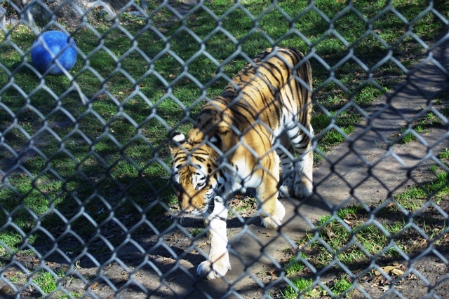 c0062603_01373446.jpg