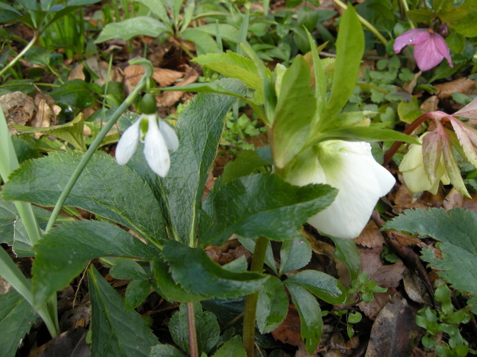 c0156104_21585000.jpg