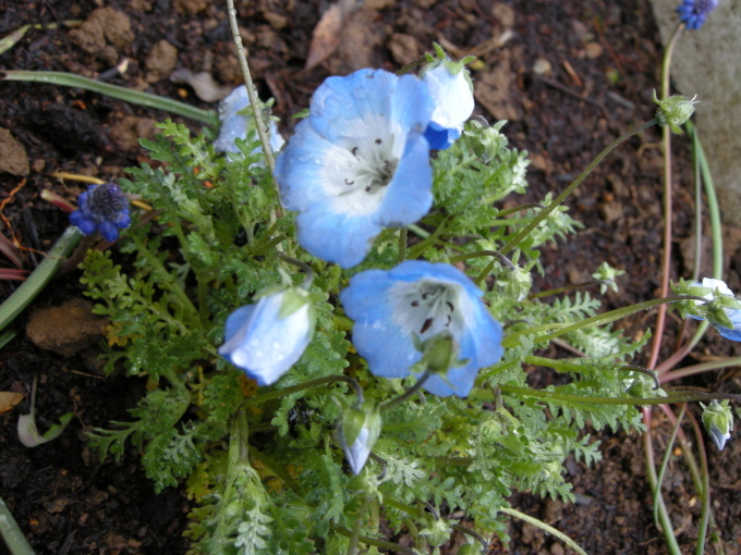c0156104_22024769.jpg