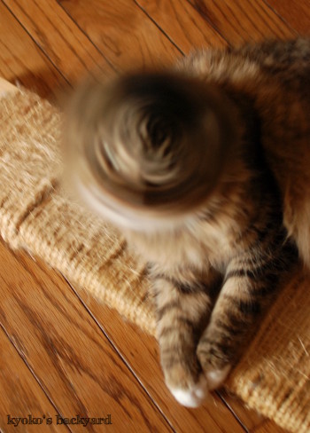 ぼくの誕生日・・・。その2_b0253205_05395963.jpg