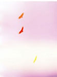 Mark Borthwick: Poster 02 / all the best bird’s feel her, 2014 ポスター(フレーム入り)_c0214605_17103615.jpg