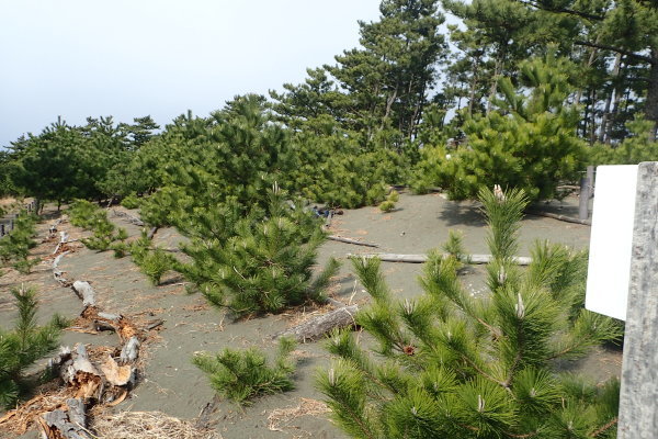 c0367107_18171587.jpg