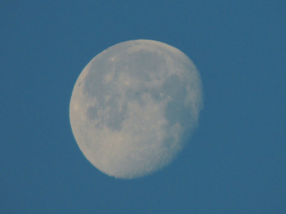 e0372207_21315705.jpg