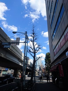 PSD春の建築&インテリア相談イベント開催!_d0091909_1555299.jpg