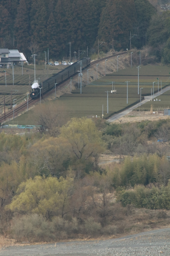 b0190710_2314779.jpg