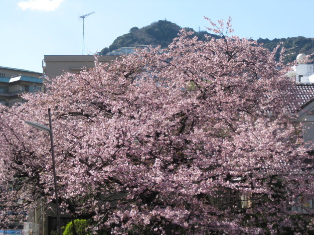 b0183111_08593129.jpg