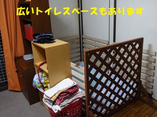 f0121712_07312912.jpg