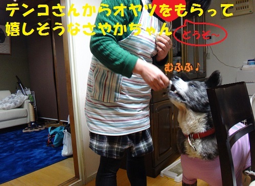 f0121712_08180855.jpg