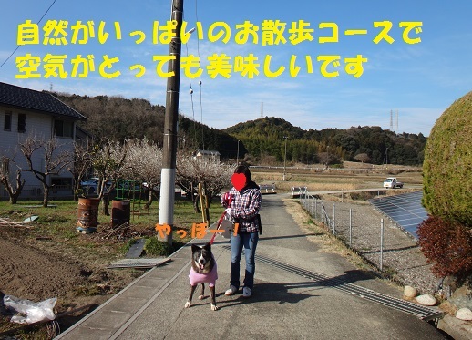 f0121712_08503097.jpg