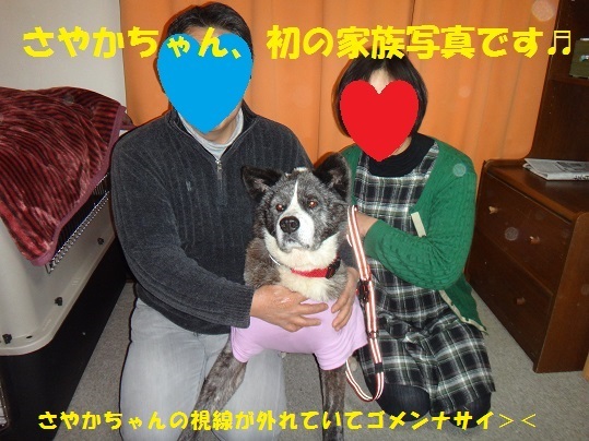 f0121712_08562825.jpg