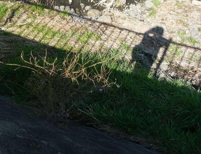 c0202113_1563549.jpg