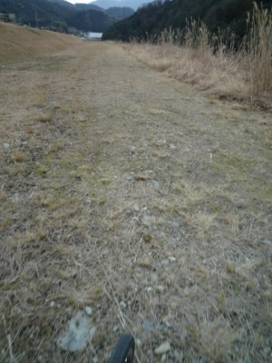 f0111015_11423875.jpg