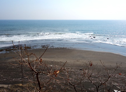 c0204725_1113510.jpg