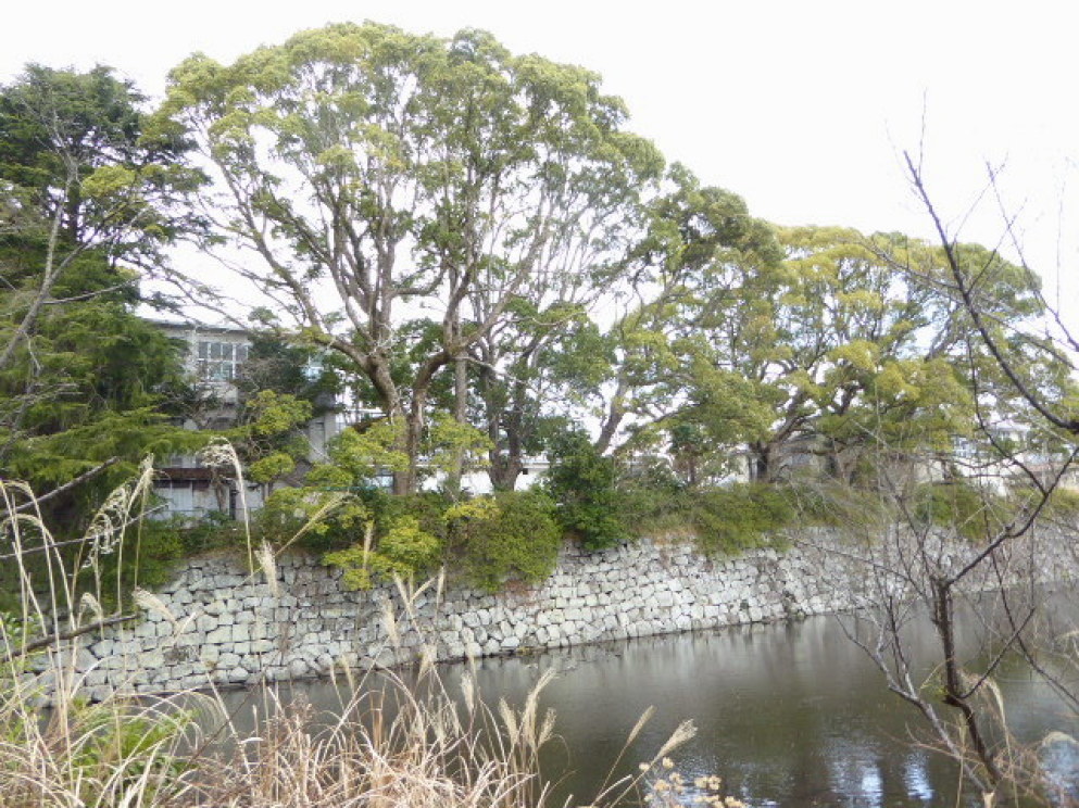 e0059726_22255744.jpg