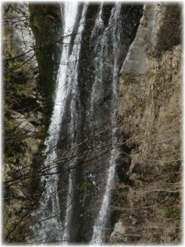 c0107829_23340776.gif