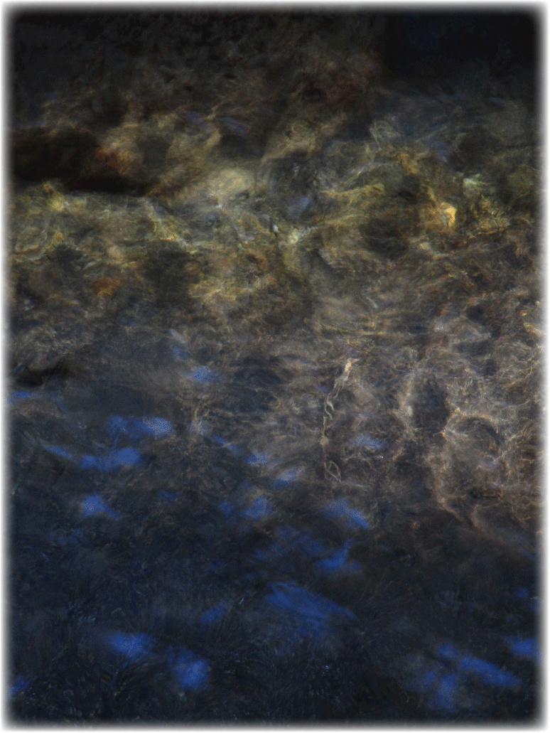 c0107829_23342566.gif