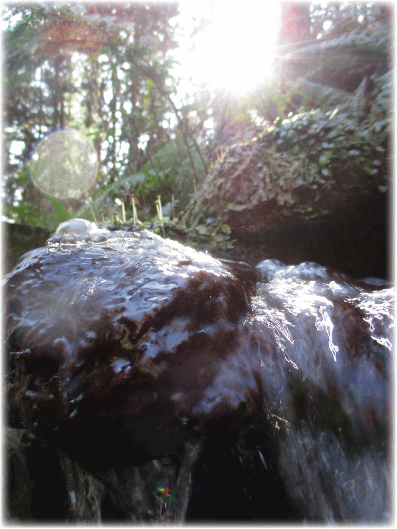 c0107829_23351631.gif