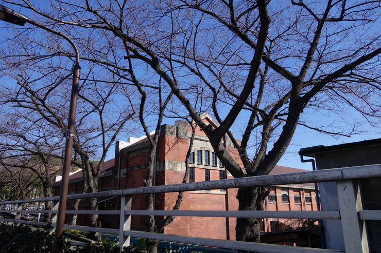 a0287336_07471.jpg