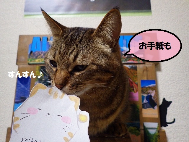 飼い主さんありがとう☆_a0337237_15035641.jpg