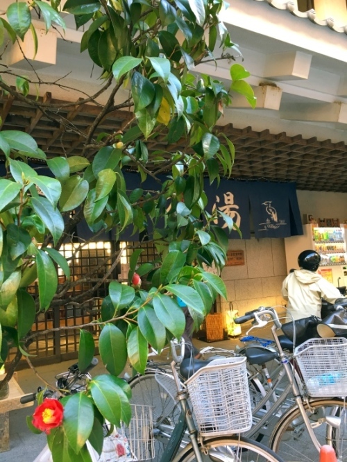 f0191444_13490196.jpg