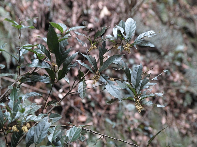 c0008948_12445793.jpg