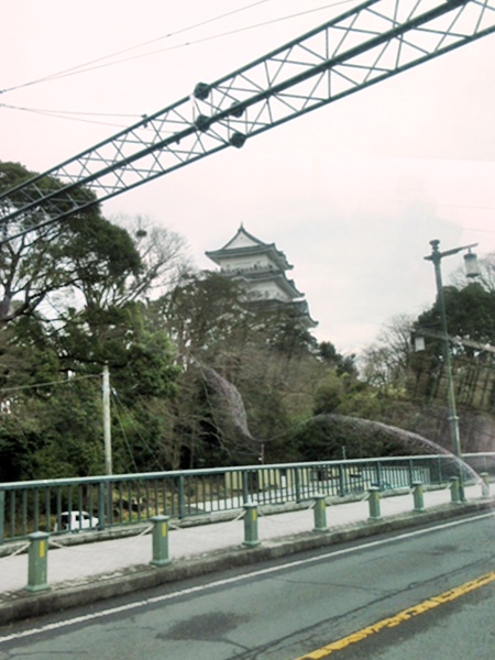 【おかめ桜を見ながら、ヒルトン小田原からの帰り道】_b0009849_22273393.jpg