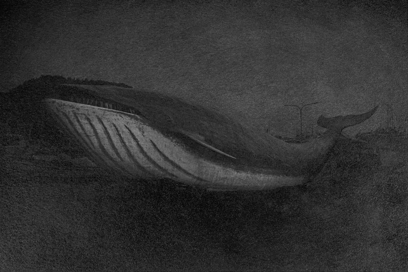 c0108673_2483443.jpg