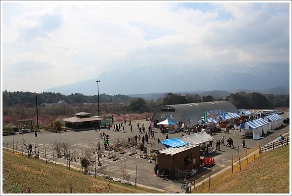 極寒 いなべ市農業公園の梅まつり うちにかえろう 極寒 いなべ市農業公園の梅まつり うちにかえろう