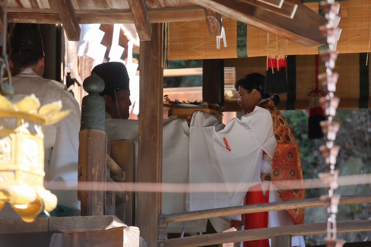 近江八幡左義長まつり　2017　その2_c0196076_22372537.jpg