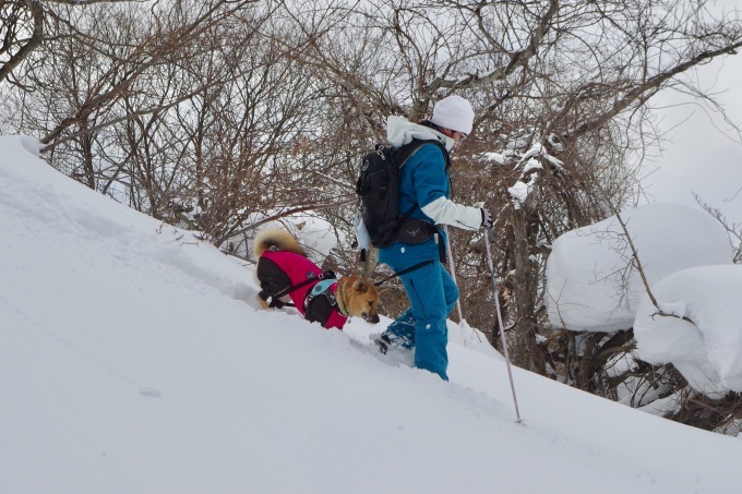 【桃旅 #016】愛犬と一緒にスノートレッキング旅行！@福島県_c0364176_12262831.jpg