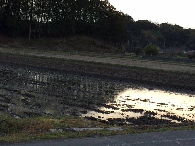 自転車で老健施設へ_c0064389_1729382.jpg