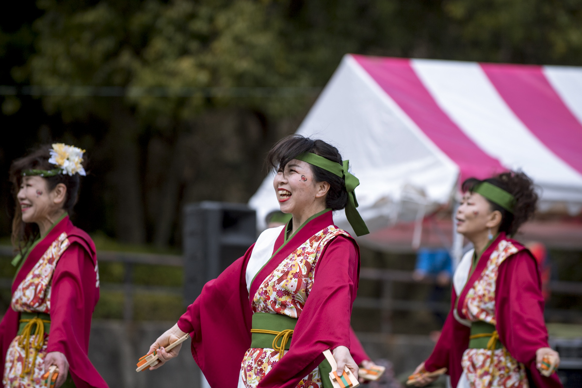 2017　浜松がんこ祭り_f0184198_11381737.jpg